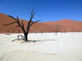 Deadvlei