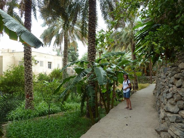 jardins_misfat.jpg - Jardins et palmeraie