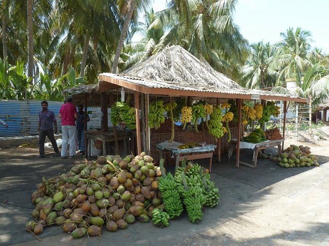 noix_de_coco_bananes_et_papayes_salalah.jpg - Noix de coco et bananes à Salalah