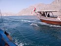 dauphin_musandam_02